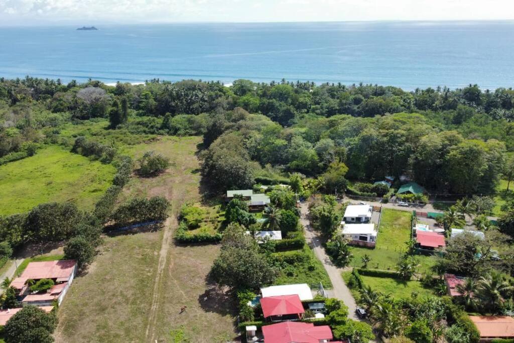 Casa Toucan Mit Privat Pool Near Np Ballena Uvita Buitenkant foto