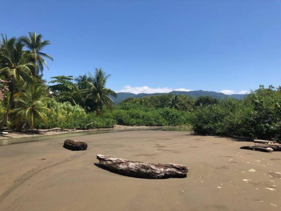 Casa Toucan Mit Privat Pool Near Np Ballena Uvita Buitenkant foto