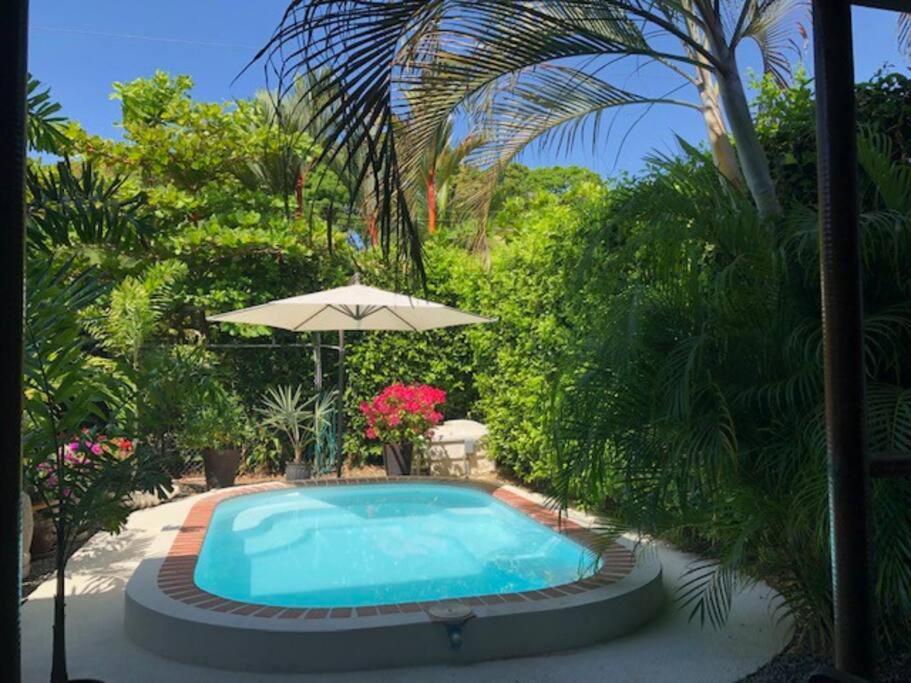 Casa Toucan Mit Privat Pool Near Np Ballena Uvita Buitenkant foto