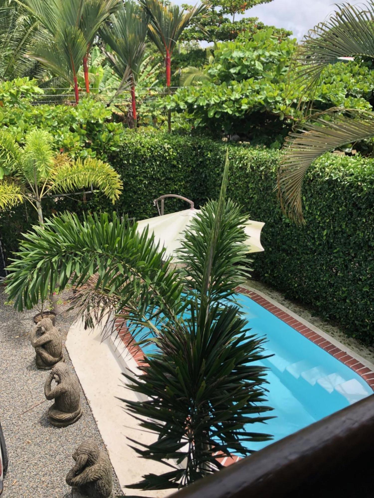 Casa Toucan Mit Privat Pool Near Np Ballena Uvita Buitenkant foto