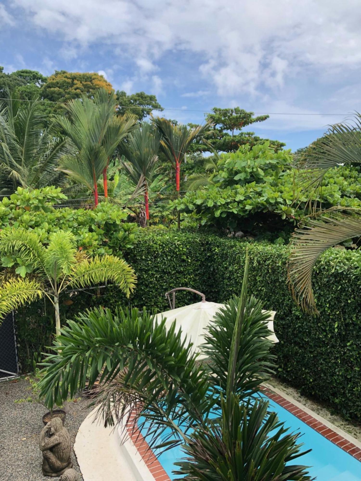 Casa Toucan Mit Privat Pool Near Np Ballena Uvita Buitenkant foto