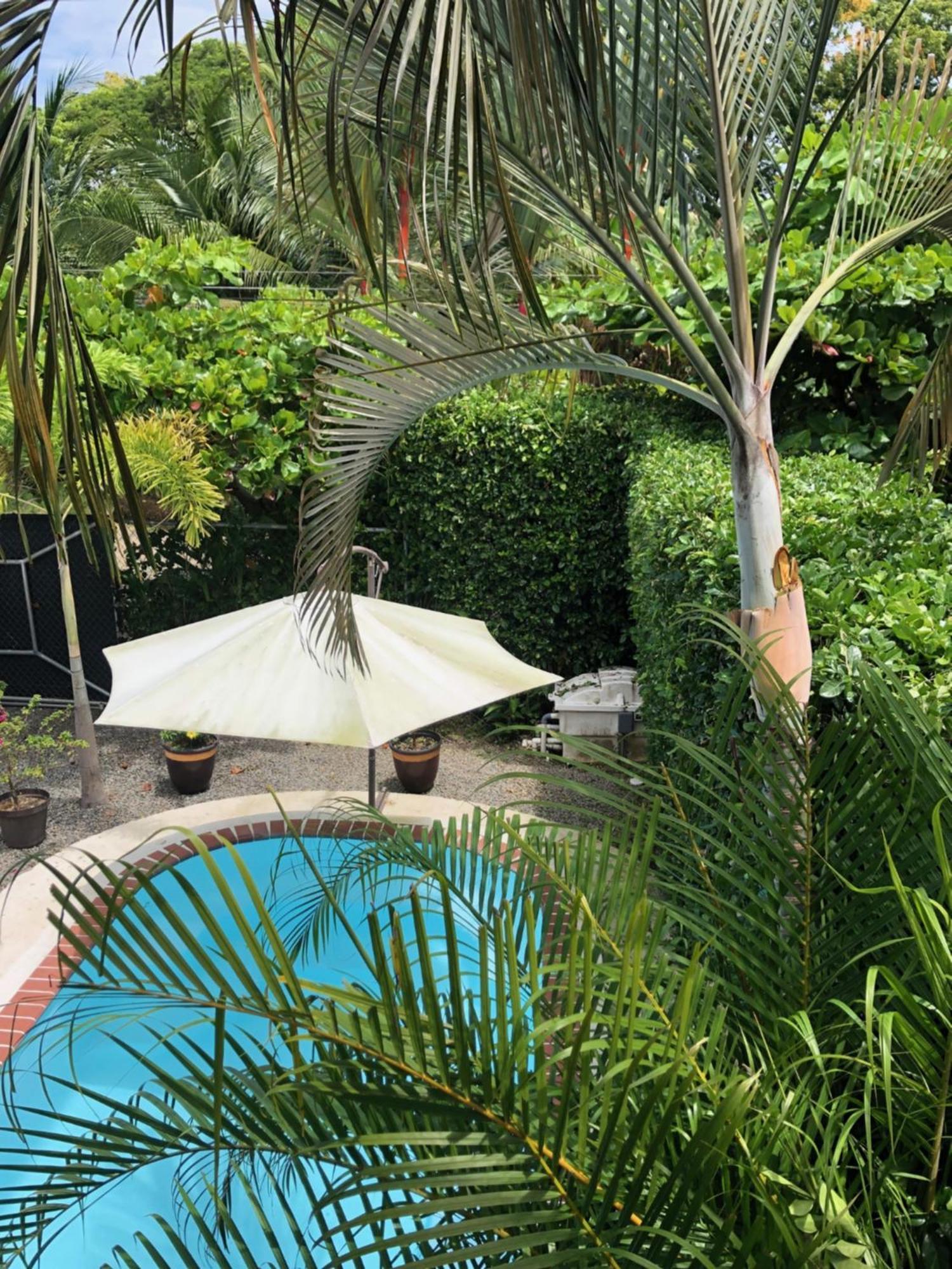 Casa Toucan Mit Privat Pool Near Np Ballena Uvita Buitenkant foto